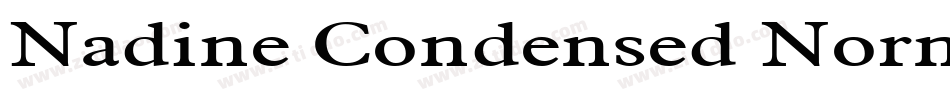 Nadine Condensed Normal字体转换